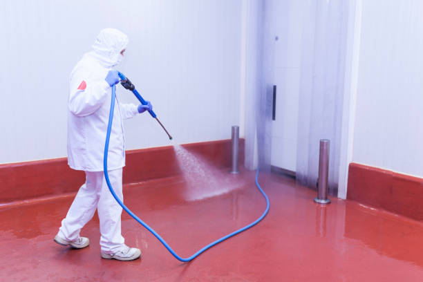 Best Graffiti Removal  in Mcloud, OK